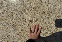 Giallo Ornamental