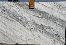 Venatino White